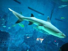 -南京大牌档(凯德大峡谷店)