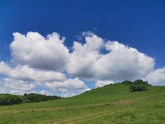 -张北坝上草原