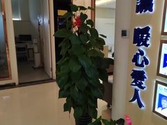 -柏乐口腔(南宁总院)