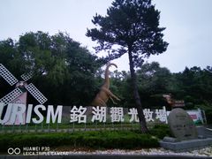 -大连铭湖国际观光牧场