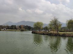 -三垟湿地