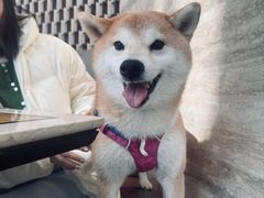 -北京康莱德酒店