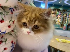 -龟与熊猫宠物公园(南坪店)