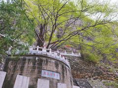 -藏山旅游风景区