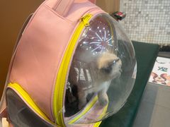 -联合动物医院(光谷诊疗中心)