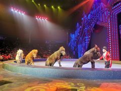 -珠海横琴长隆《卡卡虎奇遇记》