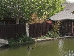-静之湖度假区