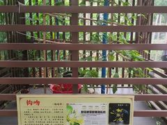 -广州神农草堂中医药博物馆