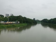 -海珠湖公园