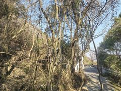 -伍山海滨石窟
