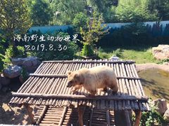 -济南野生动物世界
