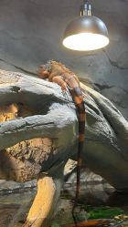 -Zoolung Zoolung动物主题公园(海信广场店)