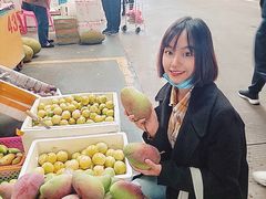 -三亚新鸿港水果一级批发市场