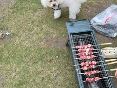 -春花秋色城市公园