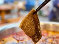 -华丰火锅(双林北横路店)