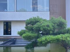 -雅苑中餐厅