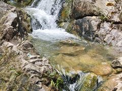 -南海湾森林生态园