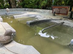 -碧水湾温泉
