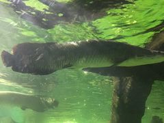 -多彩贵州城极地海洋世界