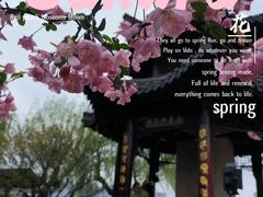 -莫愁湖公园
