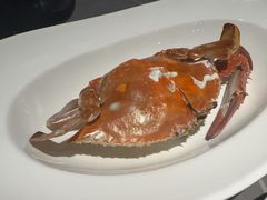 -甬上名灶(天一阁·翠柏店)