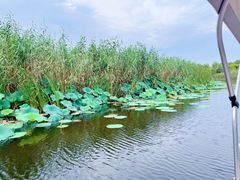 -同里国家湿地公园