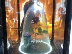 -UME影城(中国巨幕高新店)