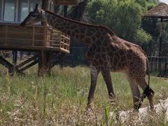 -鄂尔多斯野生动物园