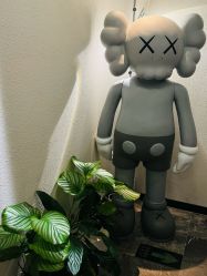 -玛莲朵·海菲秀冰珀科
