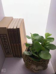 -京世沙龙