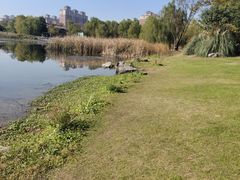 -武汉园博园(武汉自然博物馆)