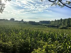 -合肥三国新城遗址公园