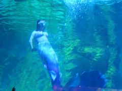 -常州海昌海洋探索馆