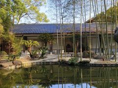 -南山植物园