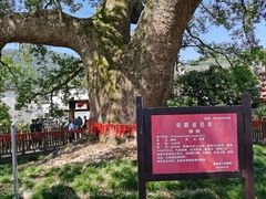 -新安江山水画廊风景区