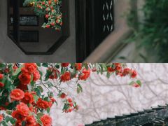 -留园