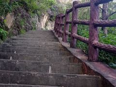 -羚羊峡古栈道森林公园