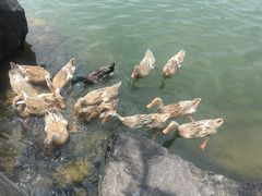 -上海怡沁园度假酒店