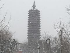 -西海子公园