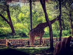 -北京野生动物园