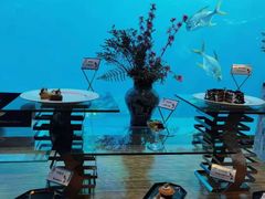 甜点档-瑞德姆美人鱼海底演艺主题餐厅(亚龙湾店)