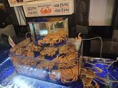 -蟹道乐(道顿堀本店)