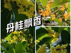 -无锡梅园公园