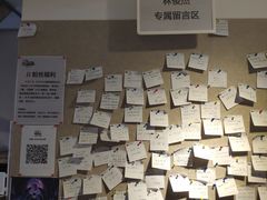 -树懒黑胶唱片店(中山路店)