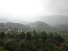 -紫鹊界梯田景区