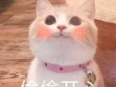 -忆相生活照相馆(苏州中心店)