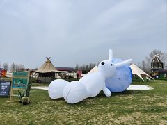 -荷兰花海
