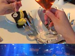 -迪拜帆船酒店海底餐厅