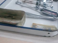 -北京动物园-畅观楼