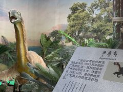 -二连浩特国家地质公园